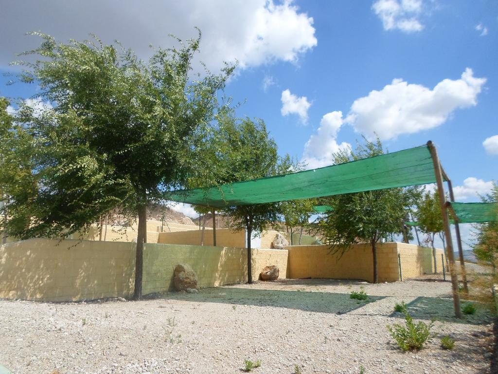 Готель Complejo Pueblo Blanco Ольвера Екстер'єр фото