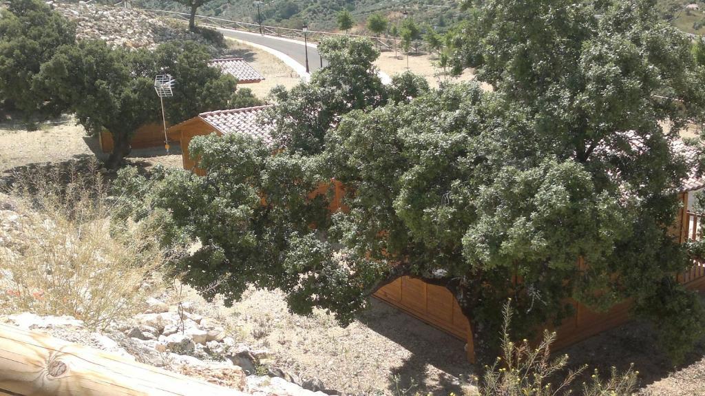 Готель Complejo Pueblo Blanco Ольвера Номер фото