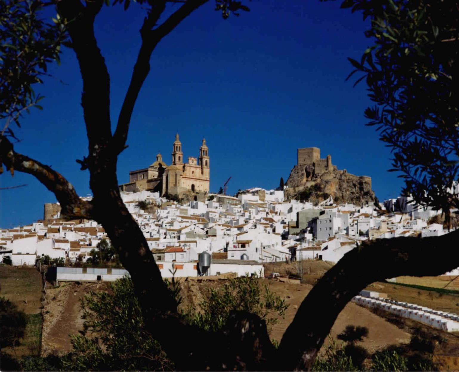 Готель Complejo Pueblo Blanco Ольвера Екстер'єр фото